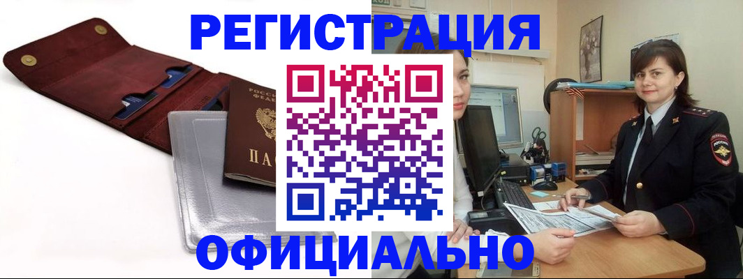 прописка поиск в Клинцах